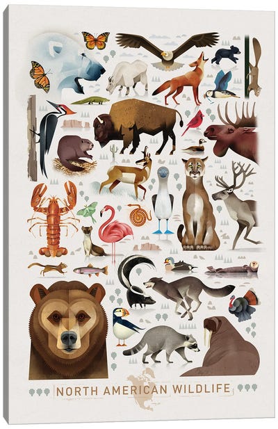 North American Wildlife Canvas Art Print - Dieter Braun