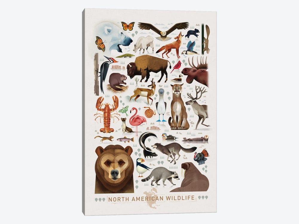 North American Wildlife by Dieter Braun 1-piece Canvas Print