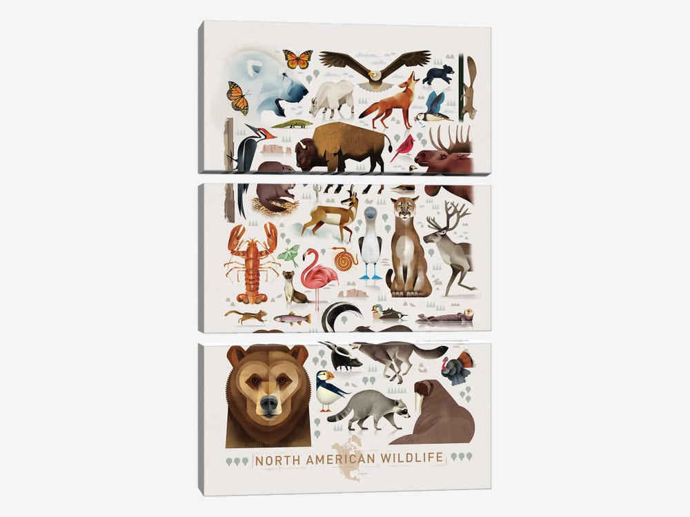 North American Wildlife by Dieter Braun 3-piece Art Print