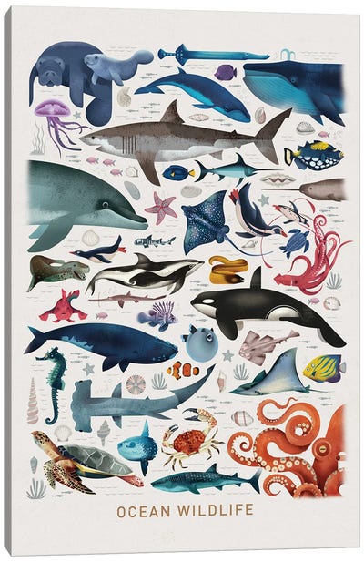Ocean Wildlife Canvas Art Print - Dieter Braun