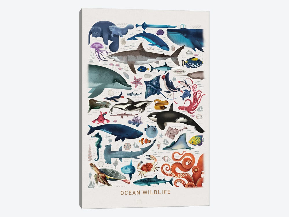 Ocean Wildlife by Dieter Braun 1-piece Canvas Art