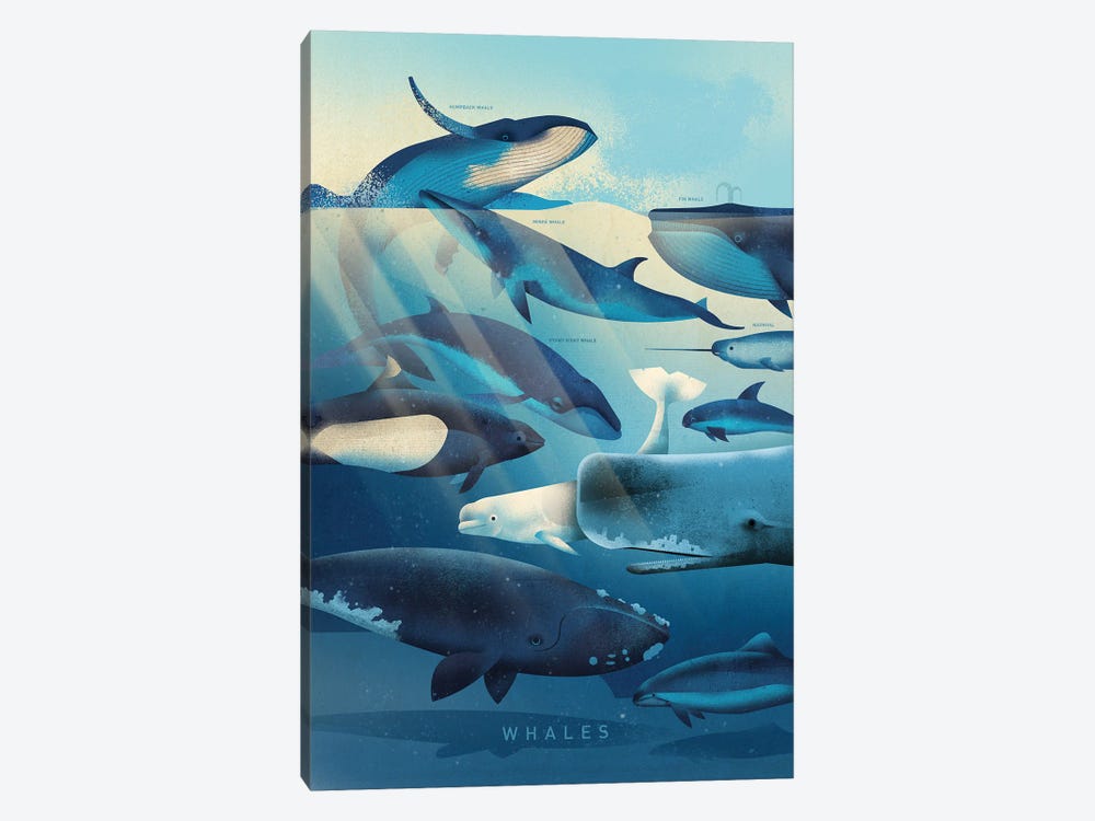 Whales by Dieter Braun 1-piece Canvas Artwork
