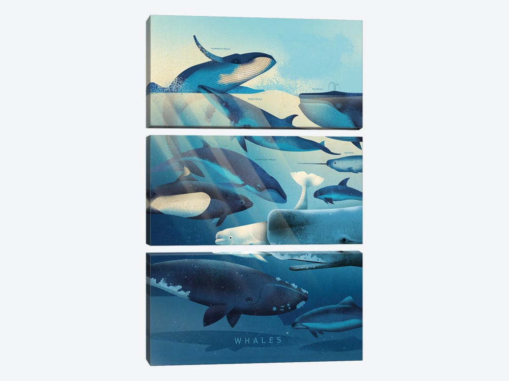 Whales by Dieter Braun 3-piece Canvas Artwork