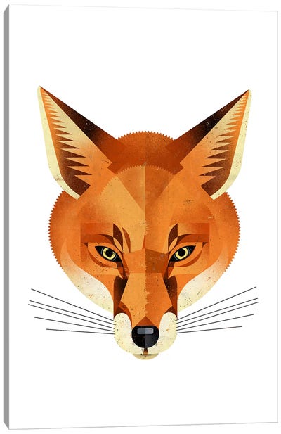 Fox Canvas Art Print - Dieter Braun