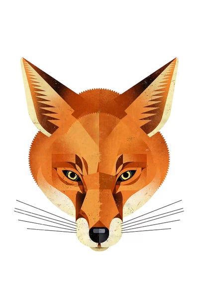 Foxes: Fox by Dieter Braun