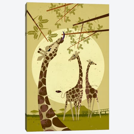 Giraffes Canvas Print #DBR5} by Dieter Braun Canvas Wall Art