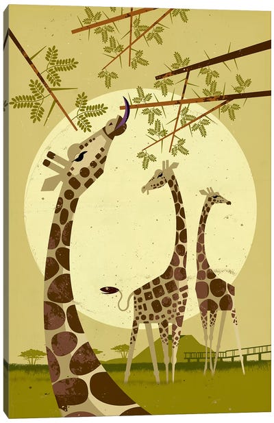 Giraffes Canvas Art Print - Dieter Braun