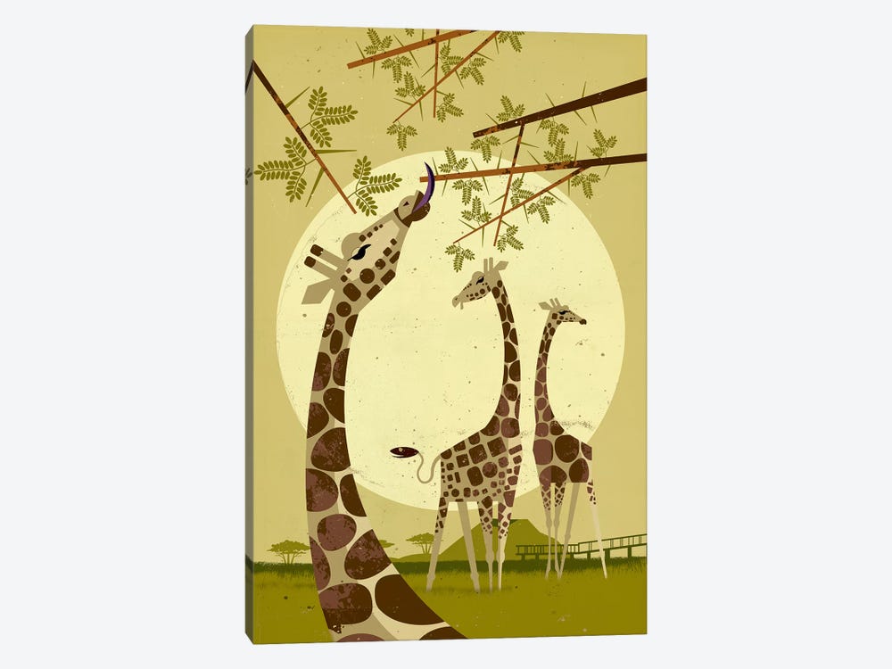Giraffes by Dieter Braun 1-piece Canvas Art Print