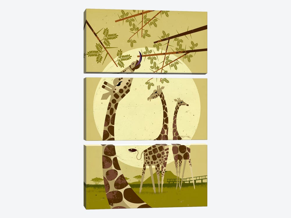 Giraffes by Dieter Braun 3-piece Canvas Art Print