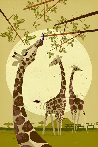 Giraffes: Giraffes by Dieter Braun