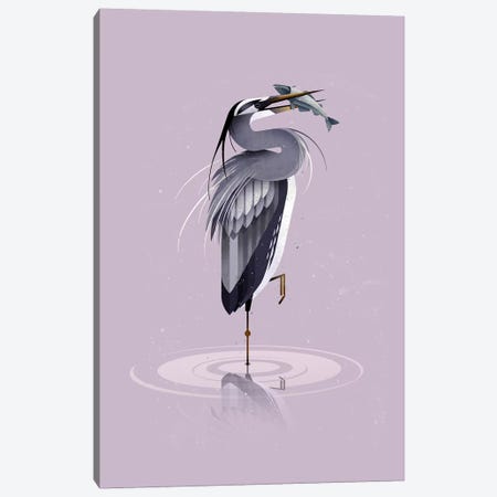 Grey Heron Canvas Print #DBR6} by Dieter Braun Canvas Artwork