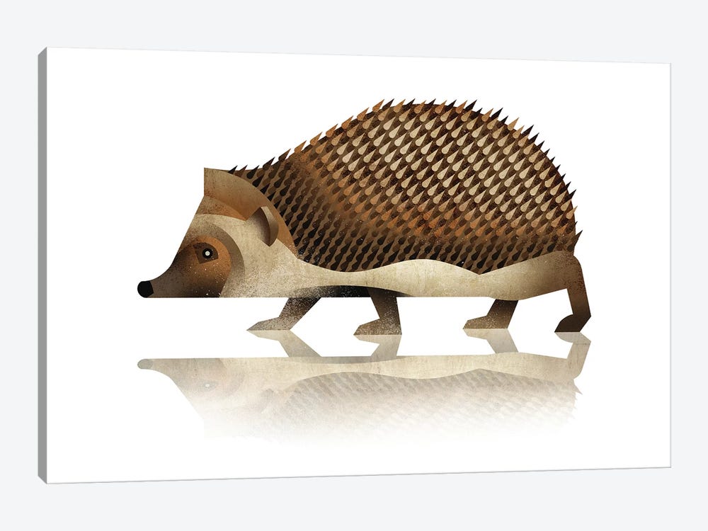 Hedgehog 1-piece Canvas Art Print