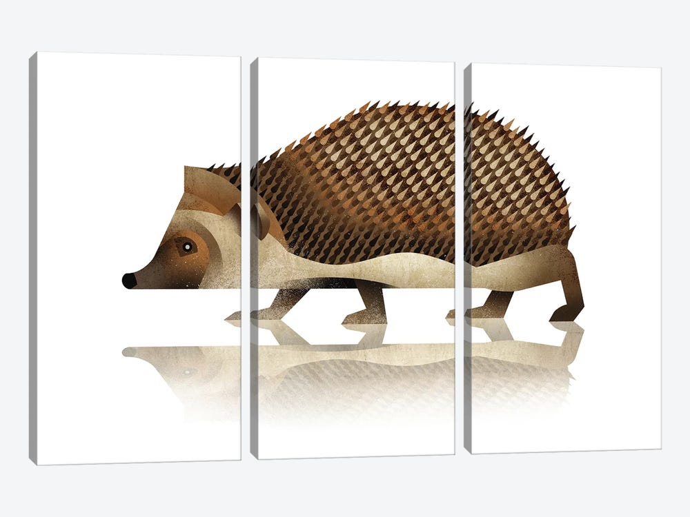Hedgehog by Dieter Braun 3-piece Canvas Print
