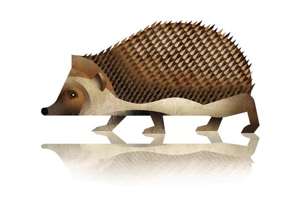 Dieter Braun: Hedgehog by Dieter Braun