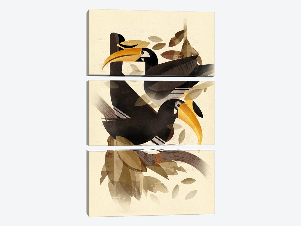 Hornbills by Dieter Braun 3-piece Canvas Print