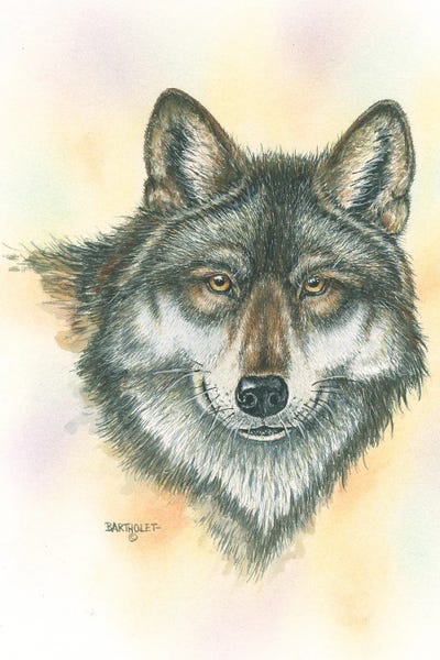 Alpha by Dave Bartholet canvas print