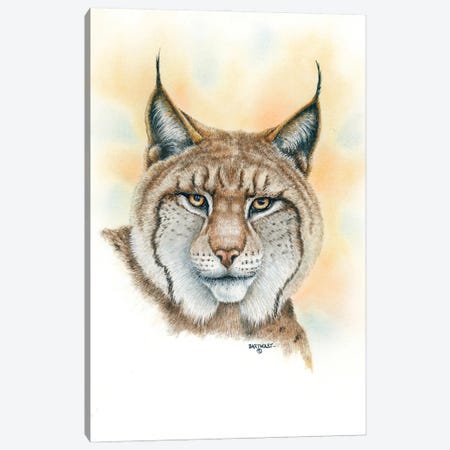 Lynx Canvas Print #DBT101} by Dave Bartholet Canvas Wall Art