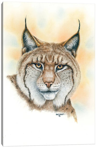 Lynx Canvas Art Print - Lynx