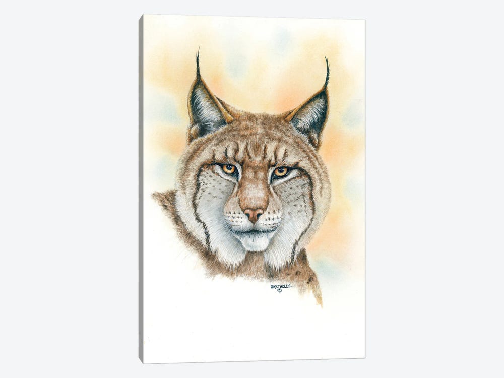 Lynx by Dave Bartholet 1-piece Canvas Art Print