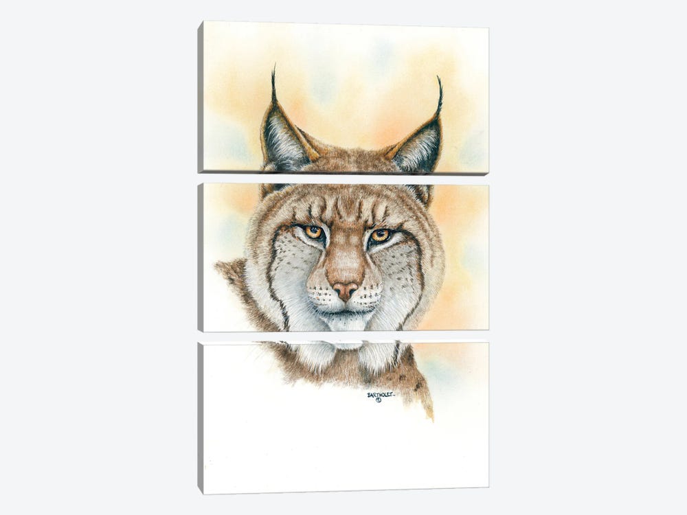 Lynx by Dave Bartholet 3-piece Canvas Print