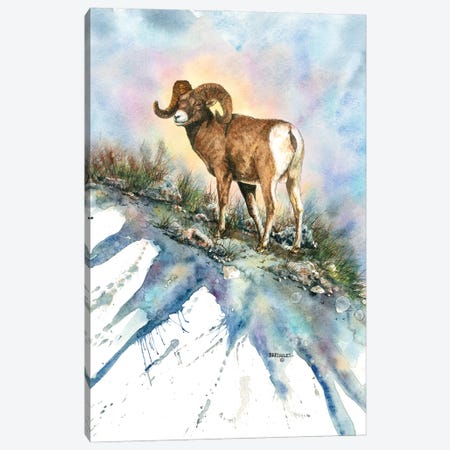 Bighorn Country Canvas Print #DBT102} by Dave Bartholet Canvas Wall Art