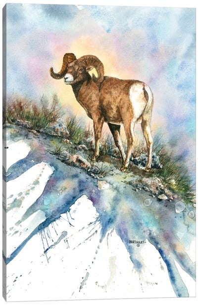 Bighorn Country Canvas Art Print - Rams