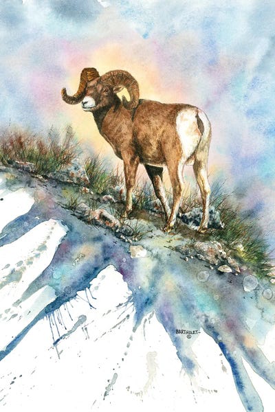Dave Bartholet: Bighorn Country by Dave Bartholet