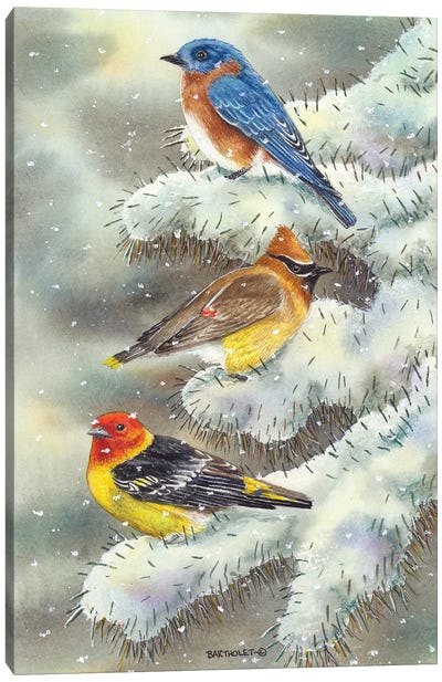 Early Snow Canvas Art Print - Dave Bartholet