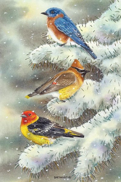 Dave Bartholet: Early Snow by Dave Bartholet