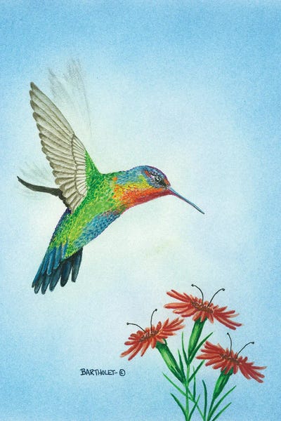 Dave Bartholet: Fiery Throated by Dave Bartholet