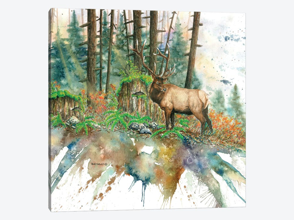 Old Growth by Dave Bartholet 1-piece Canvas Art Print