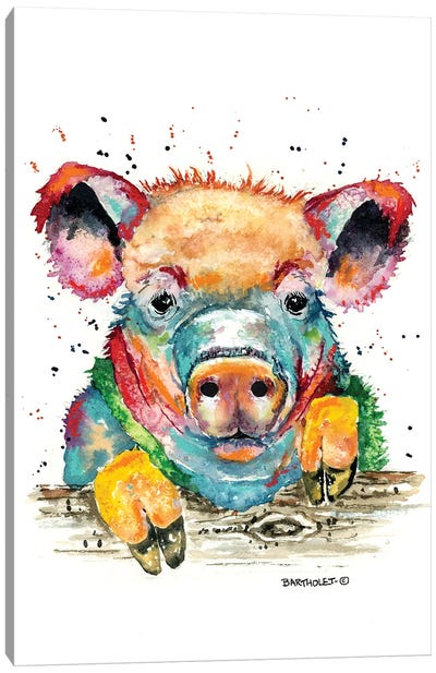 Porky Canvas Art Print - Dave Bartholet