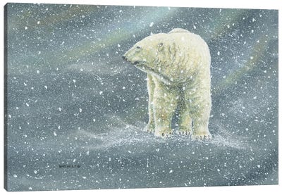 The Hunter Canvas Art Print - Polar Bear Art