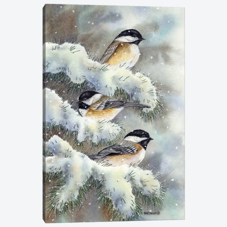 Winter Gems Canvas Print #DBT110} by Dave Bartholet Canvas Art Print