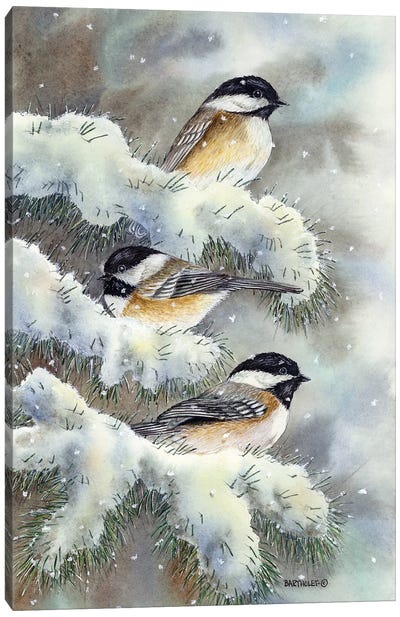 Winter Gems Canvas Art Print - Dave Bartholet