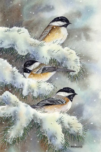 Dave Bartholet: Winter Gems by Dave Bartholet