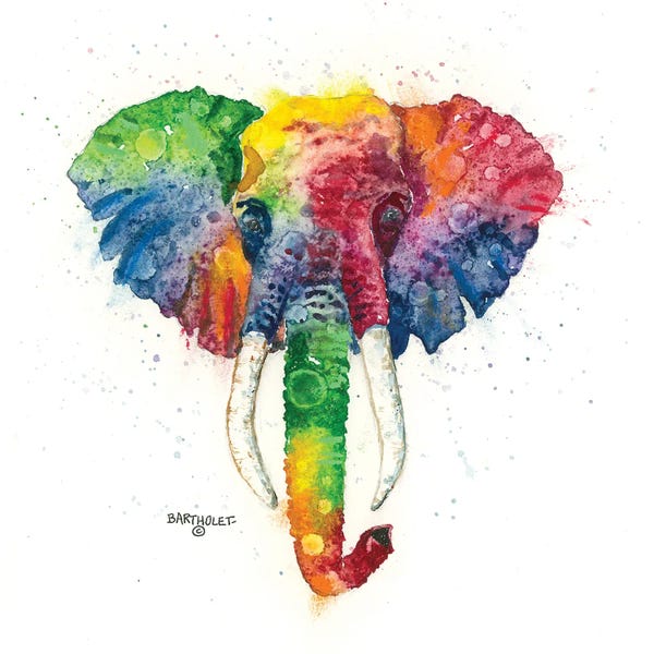 Dave Bartholet: Pachy by Dave Bartholet