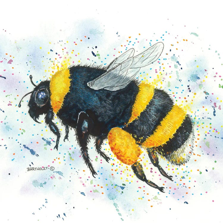 Bumble by Dave Bartholet wall art