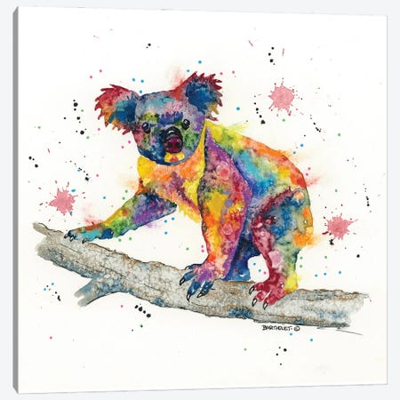 Koala Canvas Print #DBT119} by Dave Bartholet Canvas Print