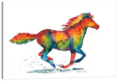 Rainbow Stallion Canvas Art Print - Dave Bartholet