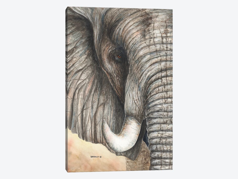 Tembo by Dave Bartholet 1-piece Canvas Wall Art