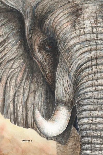 Dave Bartholet: Tembo by Dave Bartholet