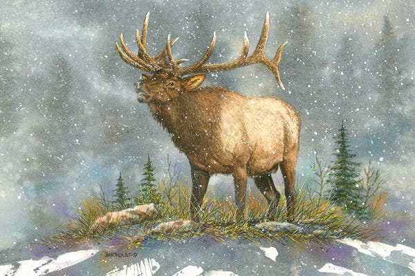 Moose: Sweet Talkin' by Dave Bartholet