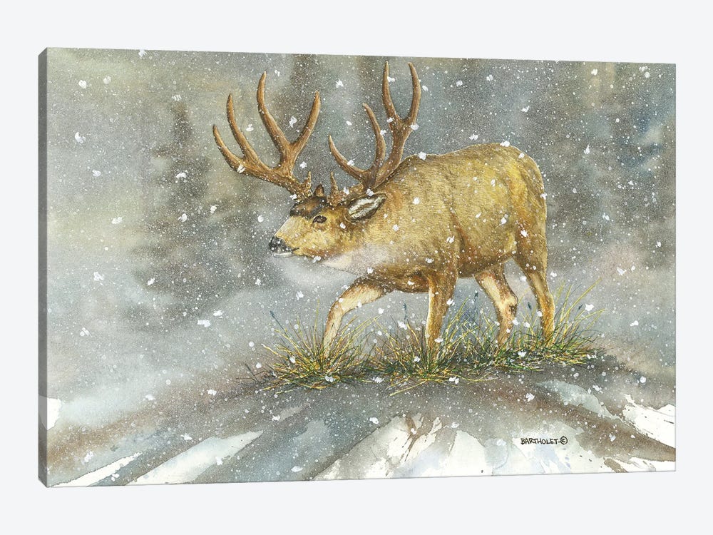 The Rut by Dave Bartholet 1-piece Canvas Art