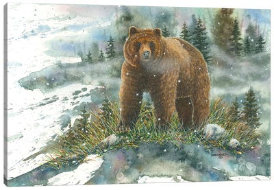 A Tight Spot Canvas Art Print - Brown Bear Art