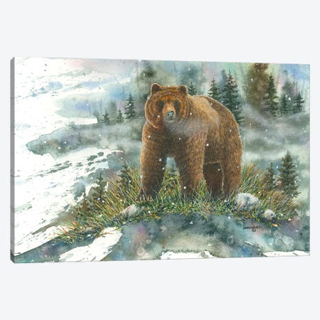 A Tight Spot Grizzly Canvas Print #DBT124} by Dave Bartholet Art Print