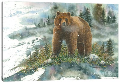 A Tight Spot Grizzly Canvas Art Print - Brown Bear Art