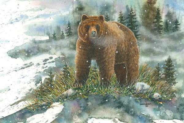 Dave Bartholet: A Tight Spot Grizzly by Dave Bartholet