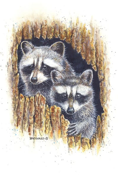 Dave Bartholet: Banditos by Dave Bartholet