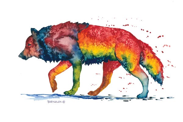 Dave Bartholet: Rainbow Wolf by Dave Bartholet
